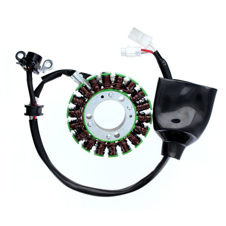 ELECTROSPORT apvijos YAMAHA 125 X-MAX (06-14), X-CITY (08-13) (holo daviklis)