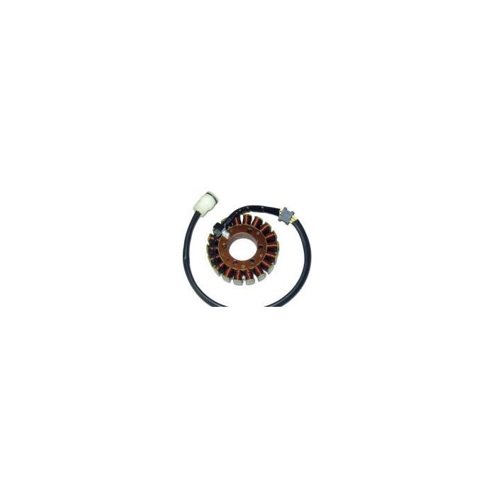 ELECTREX windings KAWASAKI Z1000 (02-)
