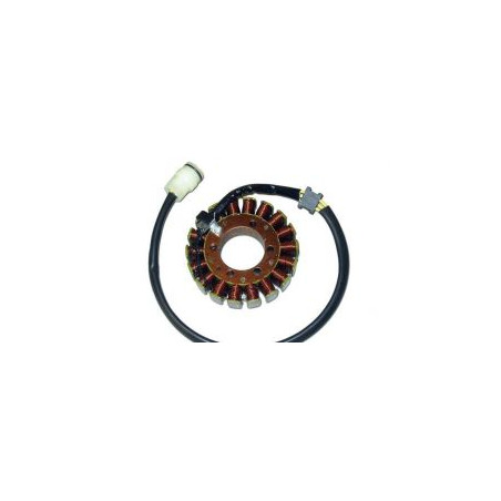 ELECTREX windings KAWASAKI Z1000 (02-)
