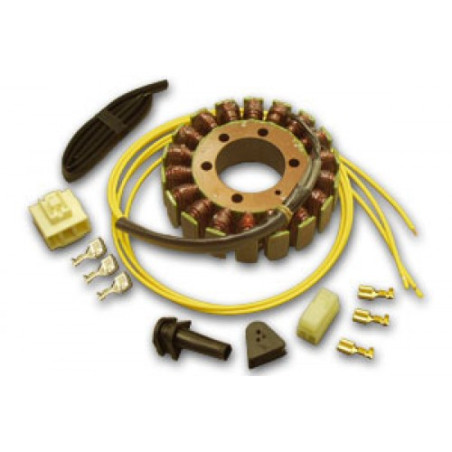 ELECTREX windings HONDA CBR 900 '92-'99, VFR 750 '92-'97, VRF 800 '98-'01, CBR 1100 XX '97-'06, DUCATI (107X42X24)