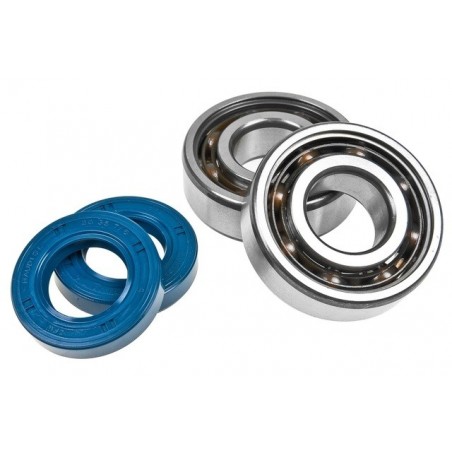 Top Performance bearing and oil seal kit for Derbi from 2006 engine