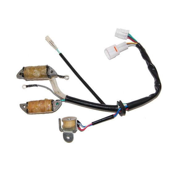ELECTROSPORT windings (with lights) YAMAHA YFM 50 RAPTOR (04-08), GRIZZLY (05-06), YFM 80 BADGER (92-00), GRIZZLY (07-08)