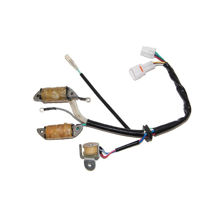 ELECTROSPORT windings (with lights) YAMAHA YFM 50 RAPTOR (04-08), GRIZZLY (05-06), YFM 80 BADGER (92-00), GRIZZLY (07-08)
