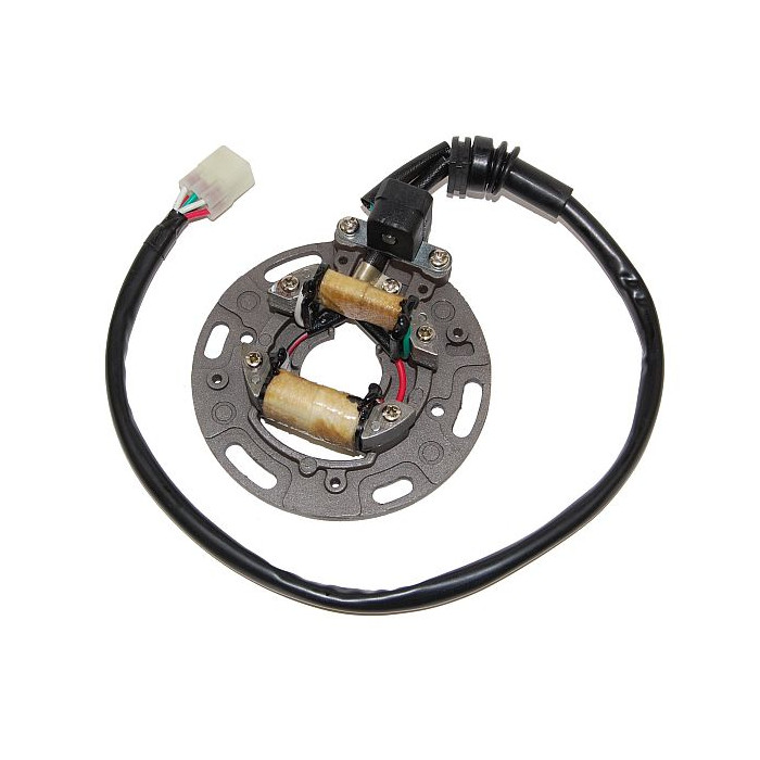 ELECTROSPORT windings KAWASAKI KX 125 '95-'97 (with plate and wires)