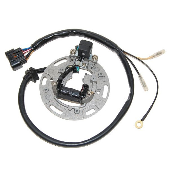 ELECTROSPORT coils KAWASAKI KX 85/100 '01-'05 (with plate and wires)