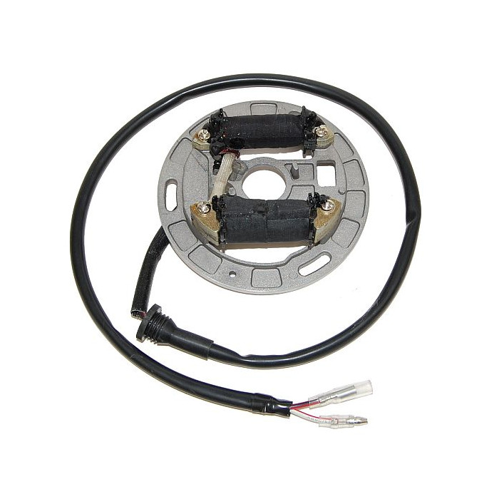 ELECTROSPORT windings (with lights) SUZUKI LT80 Quadsport (87-06)