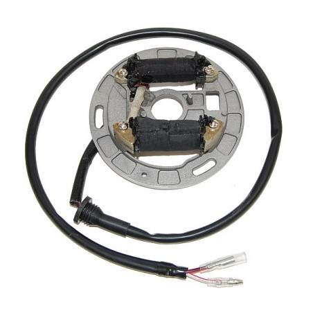 ELECTROSPORT windings (with lights) SUZUKI LT80 Quadsport (87-06)