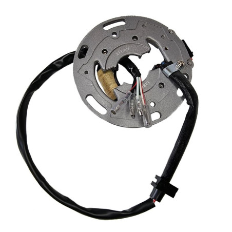 ELECTROSPORT apvijos KAWASAKI KX 80/100 91-97