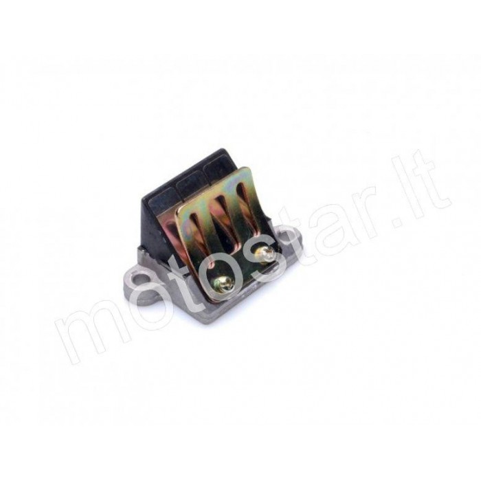 Morini Petals with a House