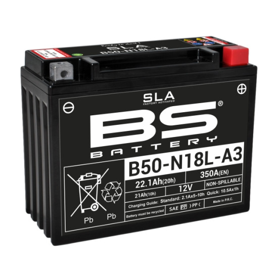 BS battery B50-N18L-A3 (Y50-N18L-A3) 12V 20AH 205X90X162 Electrolyte filling separately 250A (2) UE2019/1148