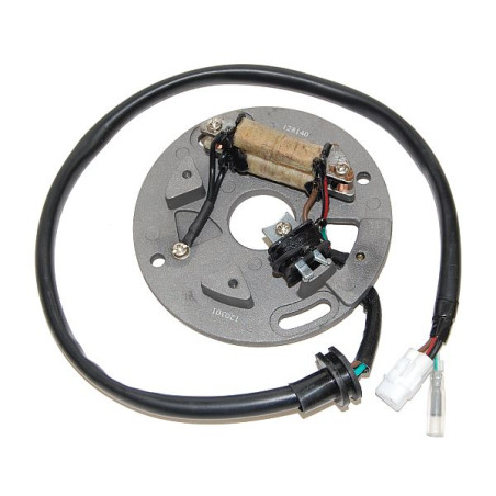 ELECTROSPORT apvijos YAMAHA YZ 250 '90-'95, WR250 90-97