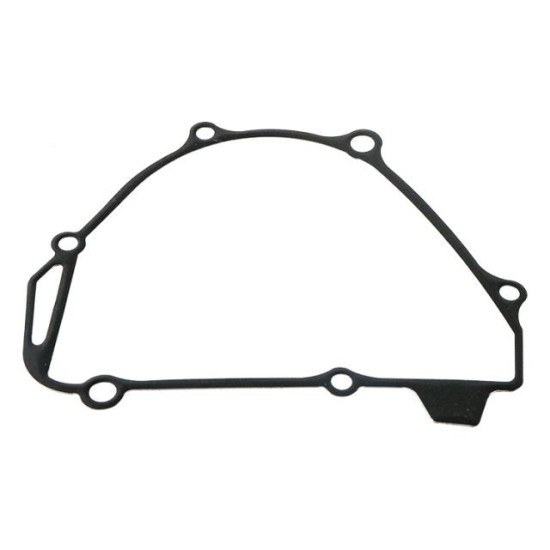 WINDEROSA (VERTEX) GENERATORIAUS DANGTELIO TARPIKLIS KAWASAKI KX250F 17-20