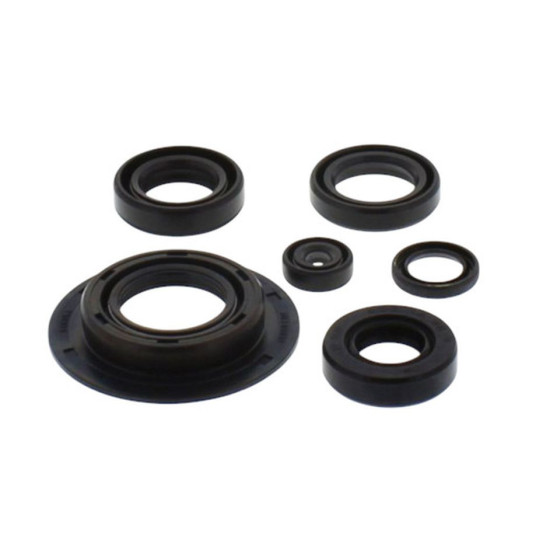 TOURMAX ENGINE SEAL KIT HONDA CX 500 '80-'82 (MADE IN JAPAN)