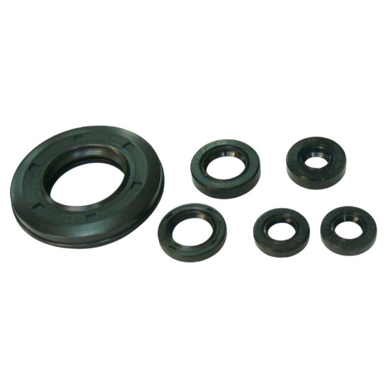 TOURMAX ENGINE SEAL KIT HONDA XL 500S '79-'82, XR500 '79-'80 (MADE IN JAPAN)