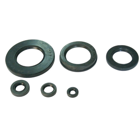 TOURMAX ENGINE SEAL KIT YAMAHA XJ 550 '81-'84, XJ 600 '84-'91, YX 600 RADIAN (MADE IN JAPAN)