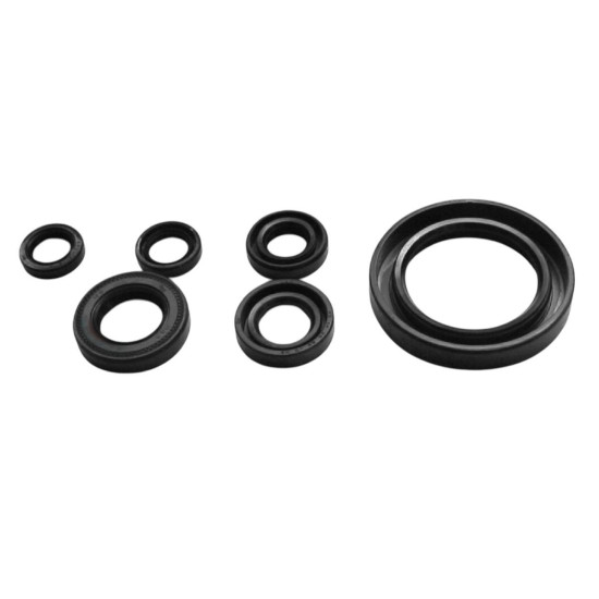 TOURMAX ENGINE SEAL KIT YAMAHA XVS 650 DRAG STAR '97-'04 (MADE IN JAPAN)