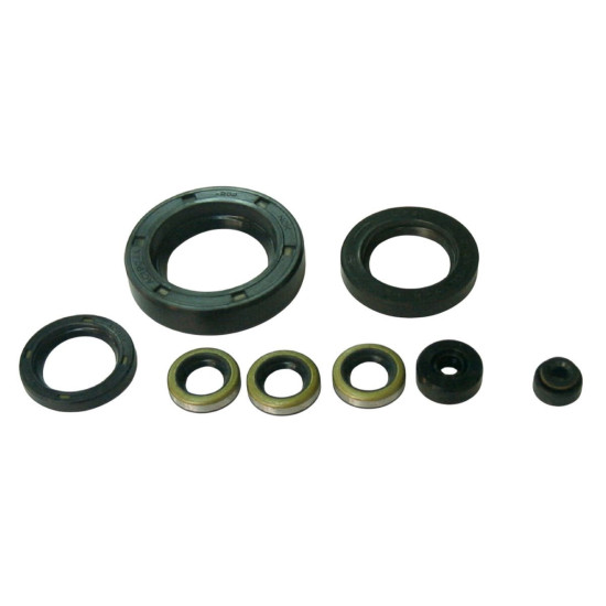 TOURMAX ENGINE SEAL KIT KAWASAKI Z 900 '73-'76, Z1000 A,B,H,MK2,P,ST '77-'80 (MADE IN JAPAN)