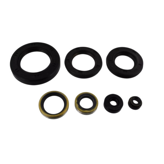 TOURMAX ENGINE SEAL KIT KAWASAKI Z 650 '77-79 (MADE IN JAPAN)