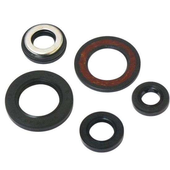 TOURMAX ENGINE SEAL KIT YAMAHA SZR 660 '95-97, XT 600E '96-99 (MADE IN JAPAN)