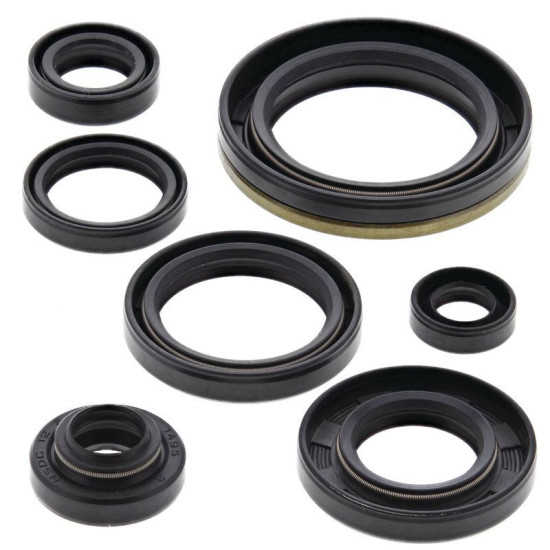 WINDEROSA (VERTEX) VARIKLIO SANDARIKLIŲ RINKINYS SUZUKI RM250 89-93