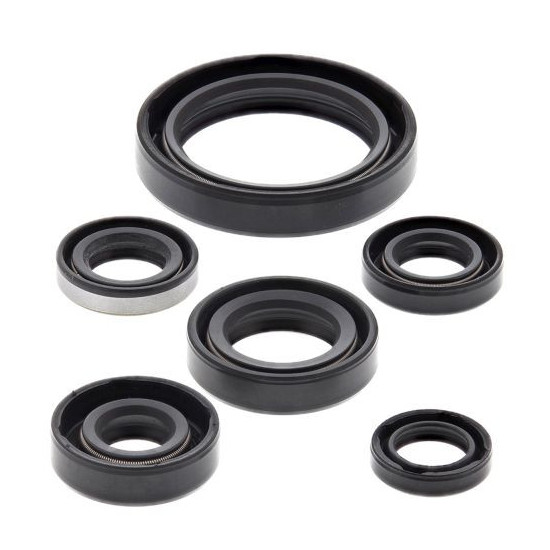 WINDEROSA (VERTEX) VARIKLIO TARPIKLIS KOMPLEKTAS KAWASAKI KLX250R 94-96, KLX250S 06-18, KLX250SF 09-10, KLX300(R) 97-07