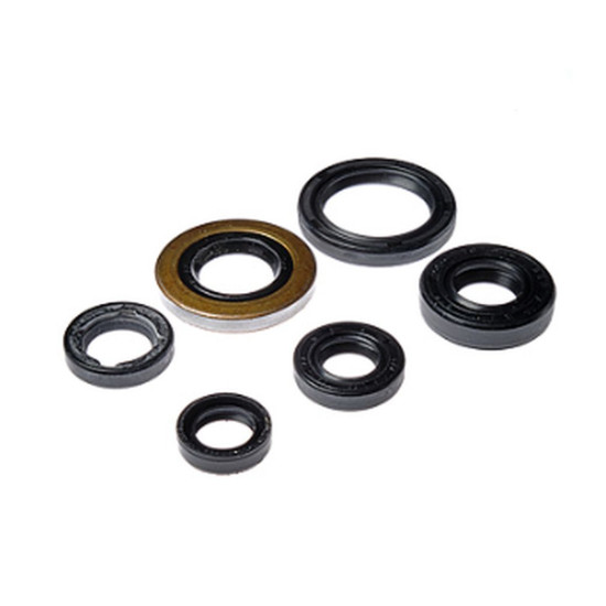 WORX VARIKLIO SANDARIKLIO GUOLIS HONDA TRX 400EX '05-'08, TRX 400X '09-'14 (822278)
