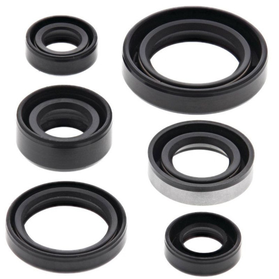 WINDEROSA (VERTEX) VARIKLIO SANDARIKLIŲ RINKINYS SUZUKI DR 350S '90-'99