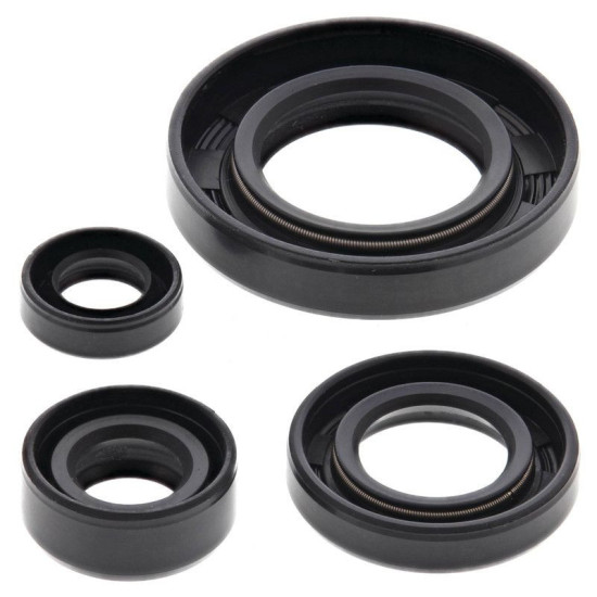 WINDEROSA (VERTEX) VARIKLIO SANDARIKLIŲ RINKINYS SUZUKI DR650SE 96-17
