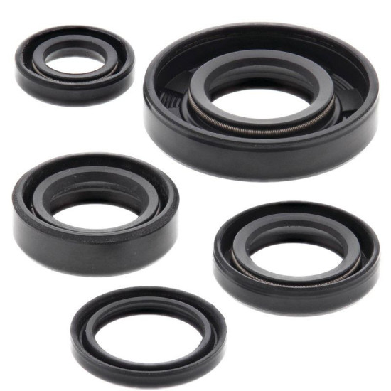 WINDEROSA (VERTEX) VARIKLIO TARPIKLIŲ KOMPLEKTAS KTM SX 50 06-09, SX 50 MINI 08, SX PRO JR 50 01-08, SX PRO SR 50 02-05