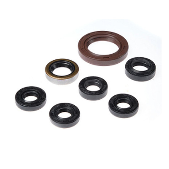 WORX VARIKLIO SANDARIKLIO GUOLIS KAWASAKI KFX 400 '03-'06, SUZUKI LT-Z 400 '03-'09 (822201)