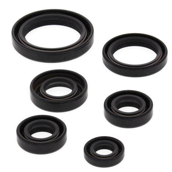 WINDEROSA (VERTEX) VARIKLIO SANDARIKLIŲ RINKINYS KAWASAKI KEF300 LAKOTA 95-03, POLARIS 450 HO 2X4 MD 16