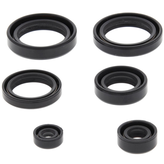 WINDEROSA (VERTEX) ENGINE SEAL KIT HONDA TRX400FA 04-07, TRX400FGA FOURTRAX RANCHER 4X4 04-07