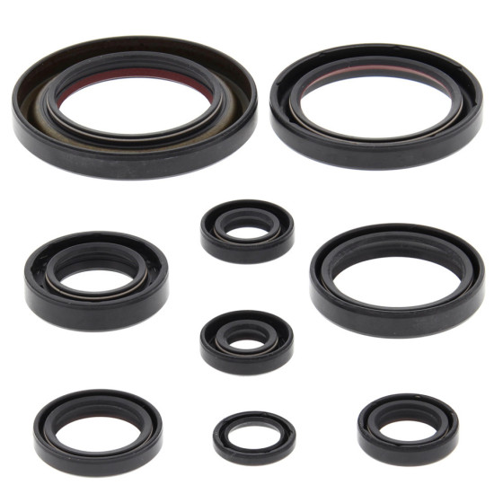 WINDEROSA (VERTEX) VARIKLIO TARPIKLIŲ RINKINYS HONDA TRX450 ER 06-14, TRX450R 06-09