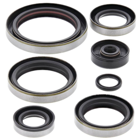 WINDEROSA (VERTEX) ENGINE SEAL KIT KTM EXC 250 94-99, SX 250 94-99