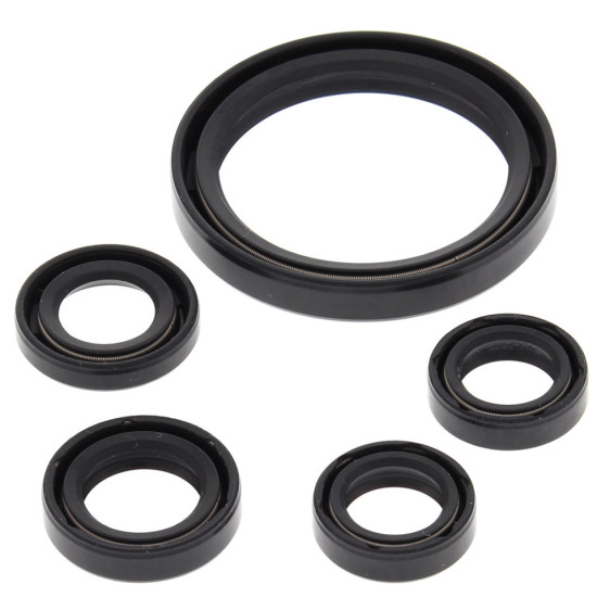 WINDEROSA (VERTEX) VARIKLIO TARPIKLIS KOMPLEKTAS YAMAHA YFZ450R 09-19, YFZ450X 10-11