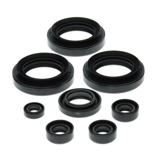 WINDEROSA (VERTEX) VARIKLIO TARPIKLIŲ KOMPLEKTAS SUZUKI LT-F300F KING QUAD 99-02, LT-F4WDX KING QUAD 300 91-98