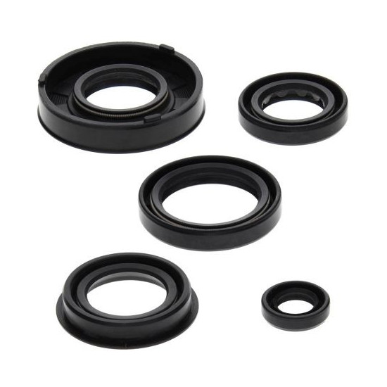 WINDEROSA (VERTEX) ENGINE SEAL KIT ARCTIC CAT 50 Y-6 04-05, 90 2-STROKE 02-04, 90 UTILITY 2X4 06, CAN-AM DS 50 02-04, QU