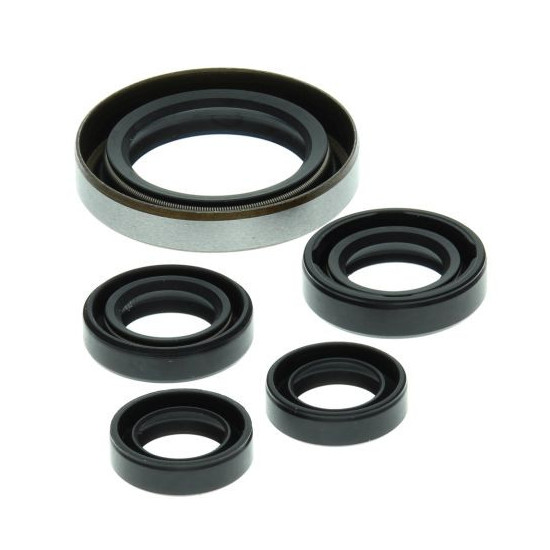 WINDEROSA (VERTEX) ENGINE SEAL KIT POLARIS OUTLAW 500 '06-'07, PREDATOR 500 '03-'07