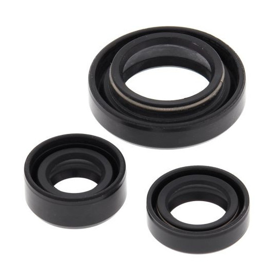 WINDEROSA (VERTEX) VARIKLIO TARPIKLIS SUZUKI LT-F250 OZARK 02-14, LT-Z250 04-09