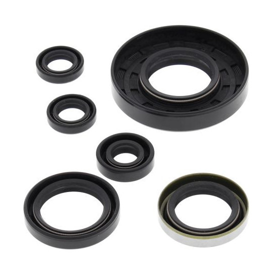 WINDEROSA (VERTEX) ENGINE SEAL KIT POLARIS XPEDITION 425 00-02