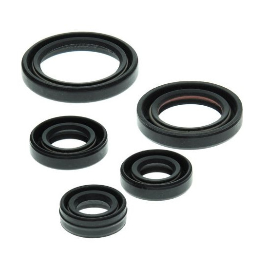 WINDEROSA (VERTEX) VARIKLIO TARPIKLIS KOMPLEKTAS YAMAHA YFM50 RAPTOR 04-08