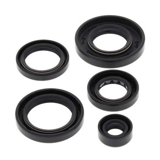 WINDEROSA (VERTEX) ENGINE SEAL KIT ARCTIC CAT 650 4X4 H1 07-11, 650 H1 LTD 05-07, 650 H1 MUDPRO 10-11, 650 TRV 07-08, 65