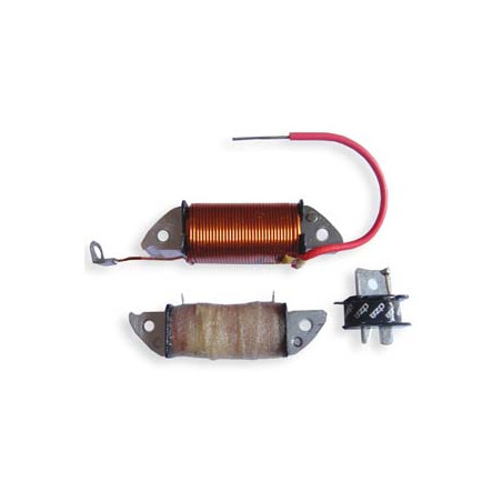 DZE coil sužadinimo +holo daviklis YAMAHA YFS200 BLASTER
