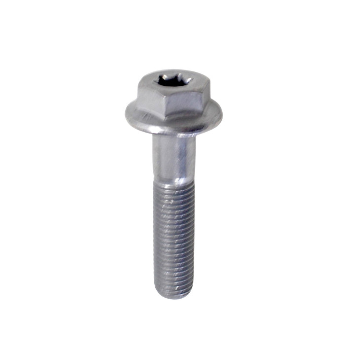 HEXAGON FLANGE BOLT M10×1.25×45 WITH HEXAGONAL FLOWER SHAPED RECESS TRX125 SRV125 SRT800 SRT800S
