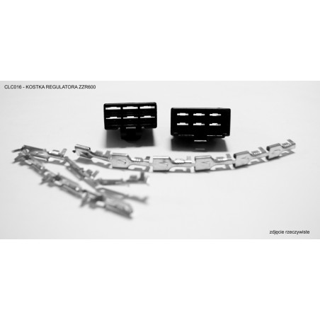 CL connectors ZZR600