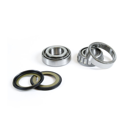 PROX vairo guoliai su riebokšliais GAS GAS - EC/MC 125 '01-'05, SM 125 '03-'06, BMW F 650 FUNDURO ST '97-'99 (22-1044)