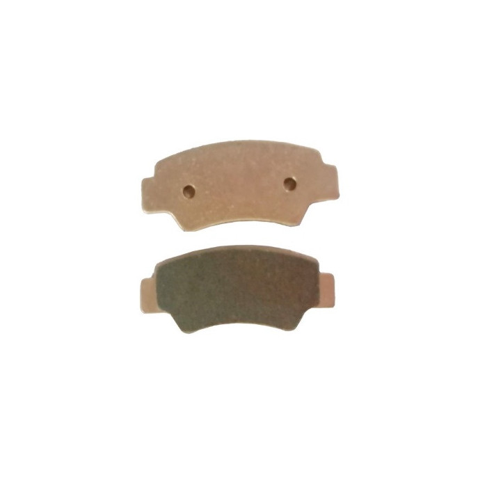 Rear brake pads QJmotor SFA1000 55110W610000