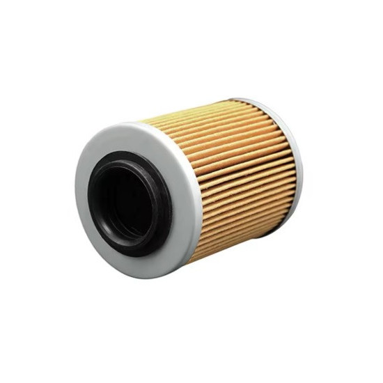 Oil filter CAN-AM 420256188