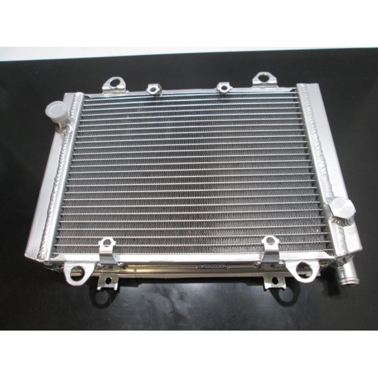 Radiator Kawasaki KVF 650 750 bruteforce Praire 2005-2011 39060-0011 39060-0016 39060-0040