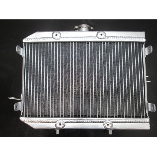 Radiator Honda Rincon TRX 650 680 2003-2016 19010-HN8-A61 19010-HN8-A61 big volume